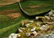 Hadrian's Wall at Risk