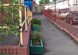 St Werburghs Community Association